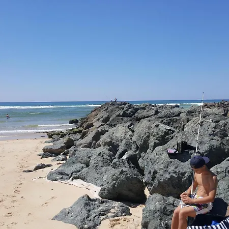 Blue Ocean * موليات-إي-ما