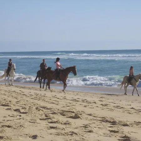 بيت للعطل Blue Ocean