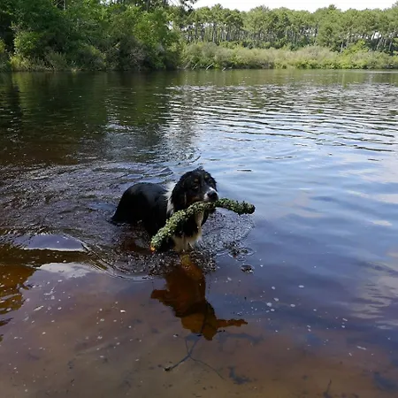 بيت للعطل Blue Ocean