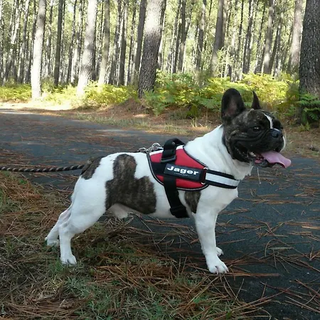 Blue Ocean موليات-إي-ما