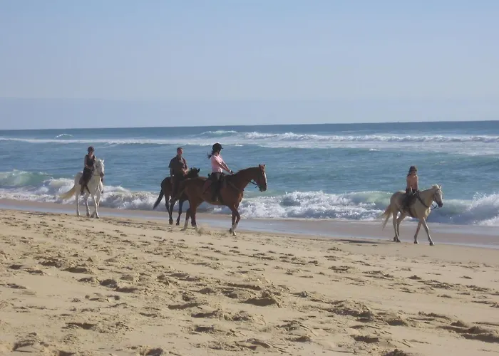 Holiday home Blue Ocean