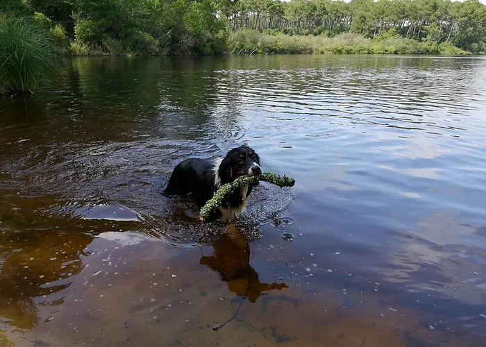Holiday home Blue Ocean