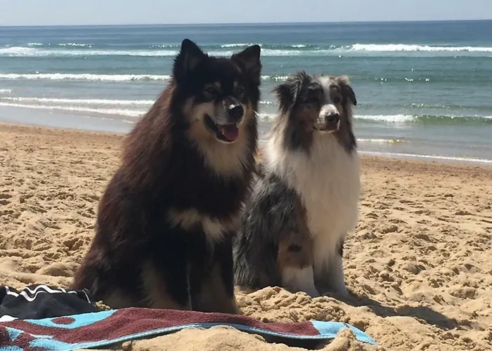 Holiday home Blue Ocean *